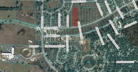 241 Chestnut Rd, Ocala, FL 34480 photo 1