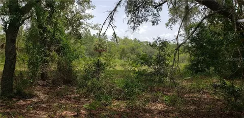 lot11 NE Alt Hwy 27, Williston, FL 32696