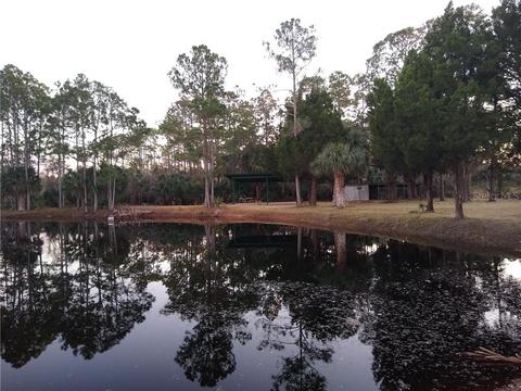 407 423 Sw 470th Ave, Steinhatchee, FL 32359 photo 1