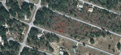 00 Malauka Radl, Ocklawaha, FL 32179