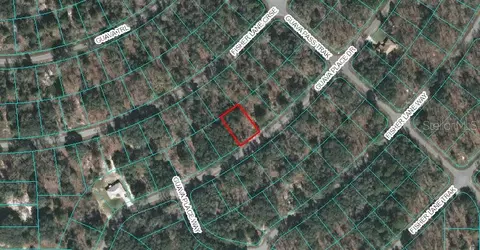 00 Guava Place Dr, Ocklawaha, FL 32179