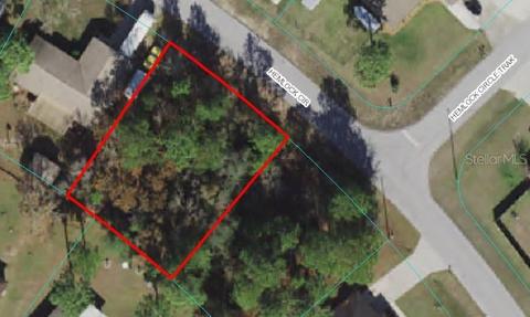 11 Hemlock Circle, Ocala, FL 34472 photo 1