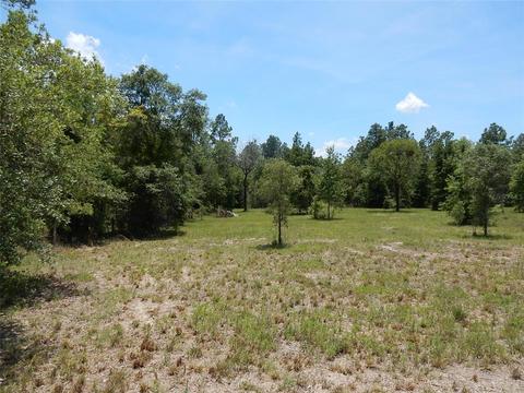 13730 NE 10th St, Williston, FL 32696 photo 1