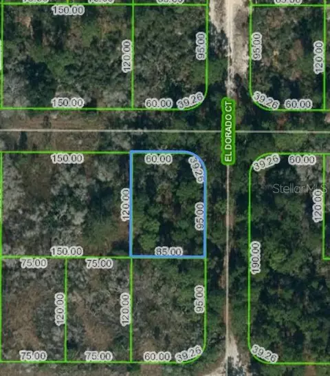 251 Tannery Ln, Lake Placid, FL 33852