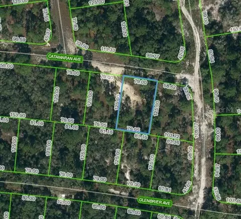 341 Catamaran Ave, Lake Placid, FL 33852