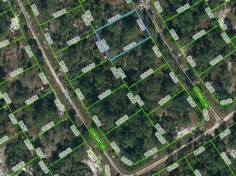366 Chorale Dr, Lake Placid, FL 33852