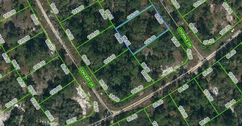 362 Chorale Dr, Lake Placid, FL 33852