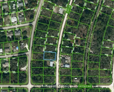366 Lazy Ln, Lake Placid, FL 33852