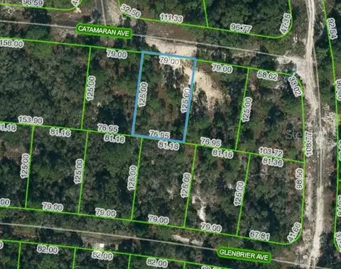337 Catamaran Ave, Lake Placid, FL 33852