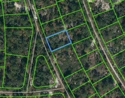 387 Blue Horizon Dr, Lake Placid, FL 33852
