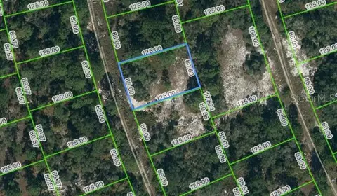 377 Concert Dr, Lake Placid, FL 33852