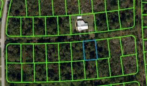 225 Caswell Ln, Lake Placid, FL 33852