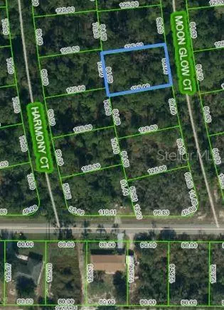 216 Moon Glow Ct, Lake Placid, FL 33852