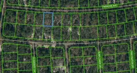 357 Paradise Ave, Lake Placid, FL 33852