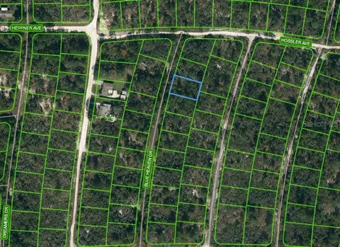 331 Blue Heaven Dr, Lake Placid, FL 33852