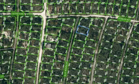 325 Blue Heaven Dr, Lake Placid, FL 33852