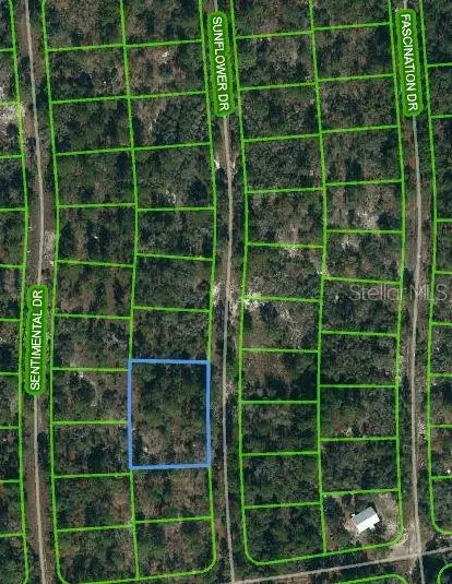244 Sunflower Dr, Lake Placid, FL 33852