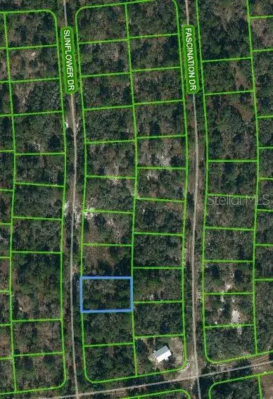 245 Sunflower Ave, Lake Placid, FL 33852