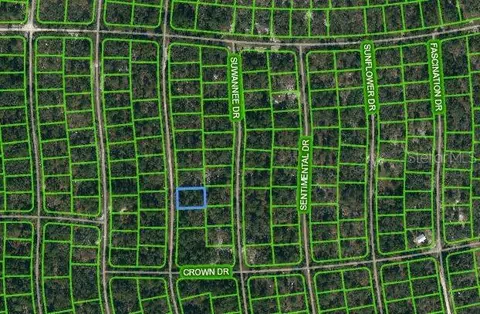 249 Sunnyside Dr, Lake Placid, FL 33852