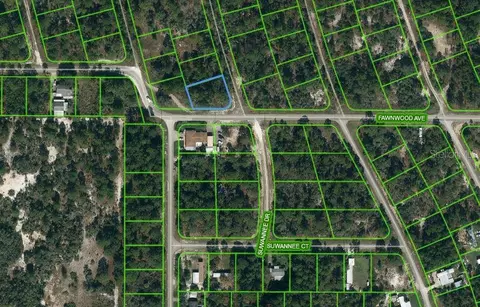 364 Fawnwood Ave, Lake Placid, FL 33852