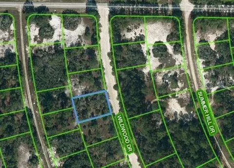 366 Wildwood Dr, Lake Placid, FL 33852