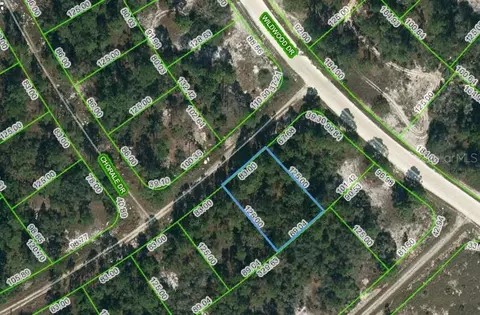 391 Cartier Ave, Lake Placid, FL 33852