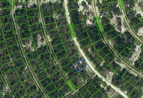354 Wildwood Dr, Lake Placid, FL 33852