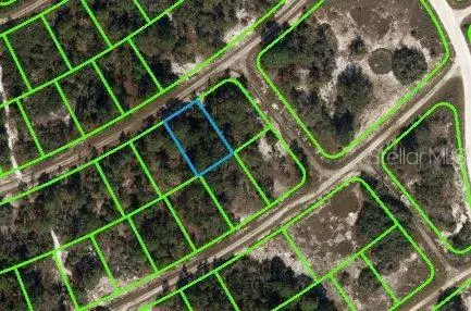 389 Showboat Ave, Lake Placid, FL 33852