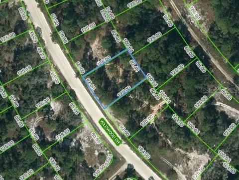 355 Wildwood Dr, Lake Placid, FL 33852