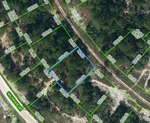 352 Summer Hill Dr, Lake Placid, FL 33852