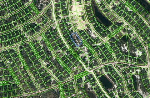314 Drama Dr, Lake Placid, FL 33852