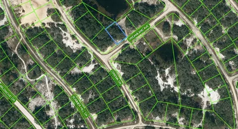506 Dreamland Ave, Lake Placid, FL 33852