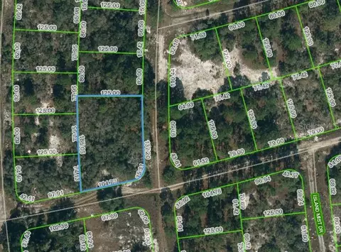 238 Horizon Dr, Lake Placid, FL 33852