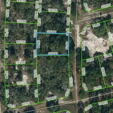 244 Blue Horizon Dr, Lake Placid, FL 33852