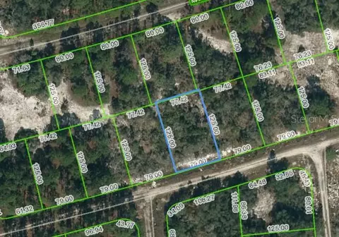 388 Crown Dr, Lake Placid, FL 33852