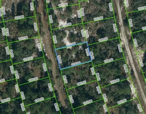 217 Blue Horizon Dr, Lake Placid, FL 33852
