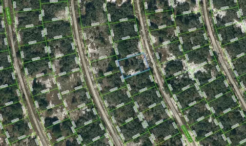 218 Deep Purple Dr, Lake Placid, FL 33852