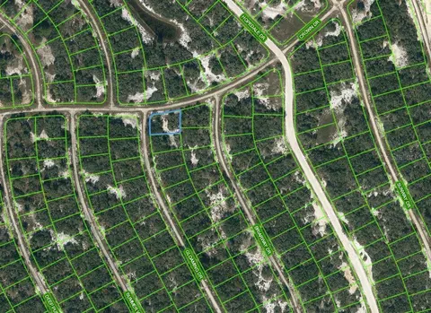 413 Crown Dr, Lake Placid, FL 33852