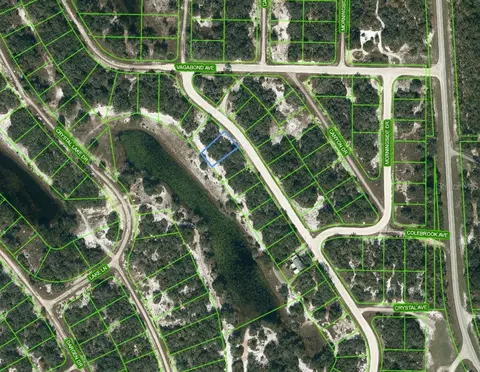 250 Lakeland Dr, Lake Placid, FL 33852