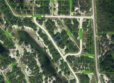 243 Lakeland Dr, Lake Placid, FL 33852