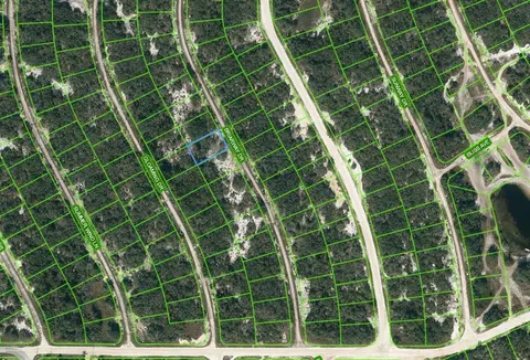 218 Briarway Dr, Lake Placid, FL 33852