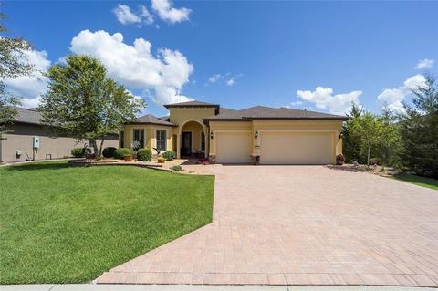 10026 SW 77th Loop, Ocala, FL 34481 photo 1