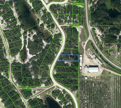 217 Lakeland Dr, Lake Placid, FL 33852