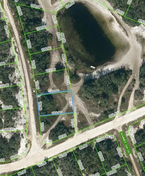203 Sunway Dr, Lake Placid, FL 33852
