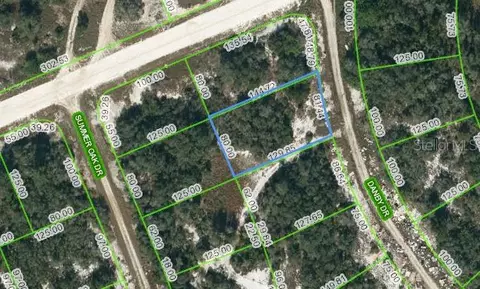126 Danby Dr, Lake Placid, FL 33852