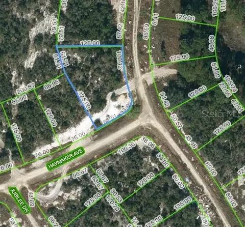 124 Summer Oak Ct, Lake Placid, FL 33852