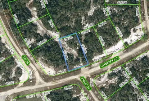 488 Haymaker Ave, Lake Placid, FL 33852