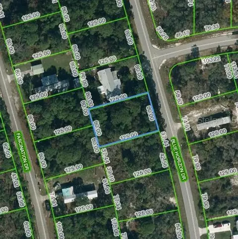 112 Blue Horizon Dr, Lake Placid, FL 33852