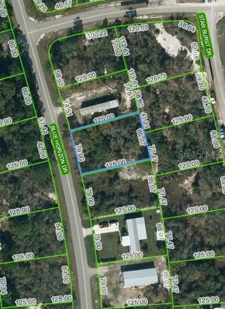 111 Blue Horizon Dr, Lake Placid, FL 33852