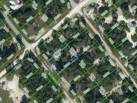 537 Blue Skies Dr, Lake Placid, FL 33852